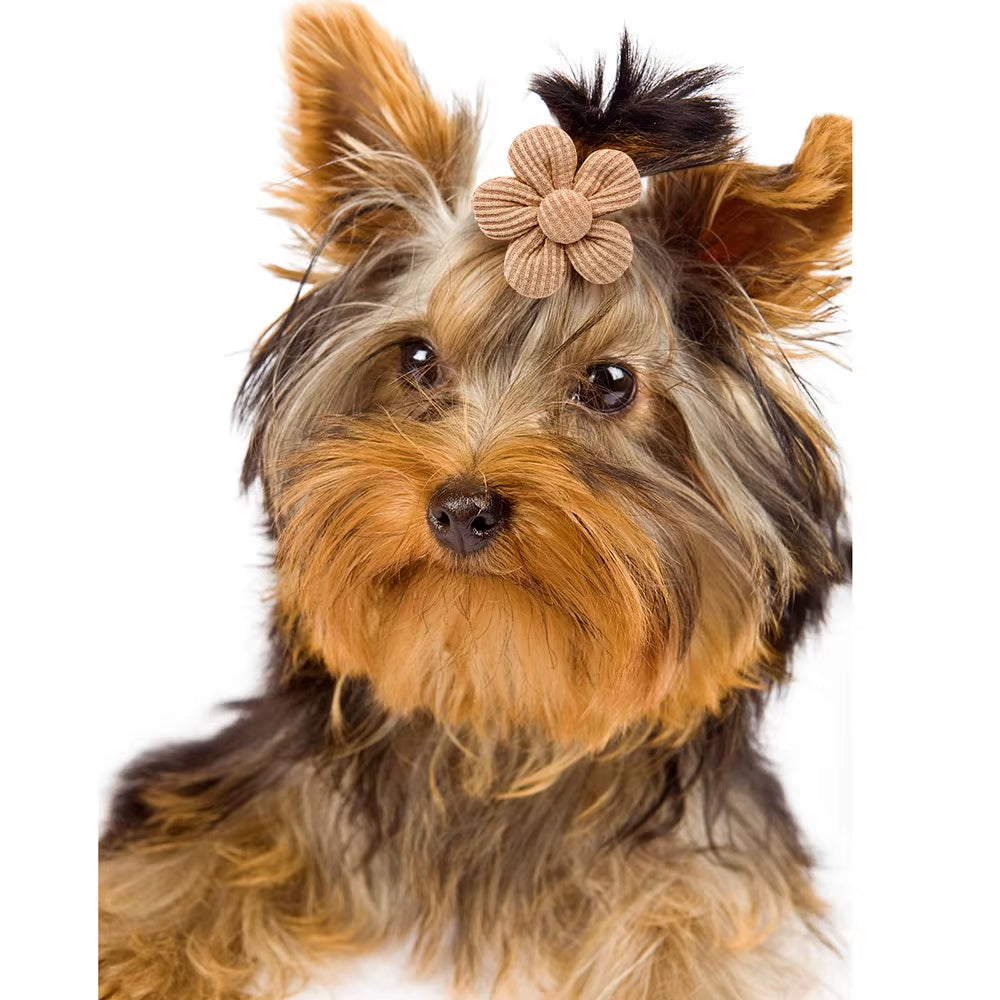 10PCS Spring Dog Bows for Puppy Cat Flower Bowknot Rubber Bands for Dogs Fashion Dog Hair Accessories Dog Grooming Accesories