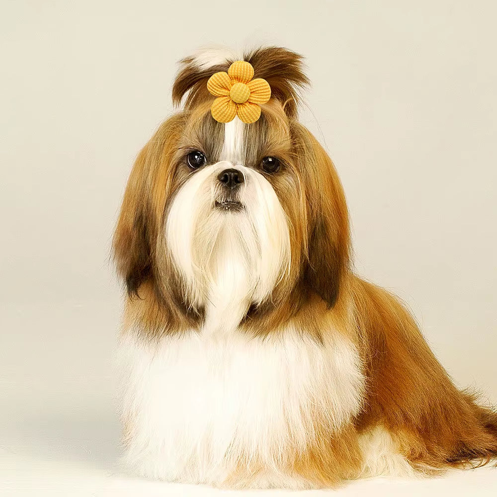 10PCS Spring Dog Bows for Puppy Cat Flower Bowknot Rubber Bands for Dogs Fashion Dog Hair Accessories Dog Grooming Accesories